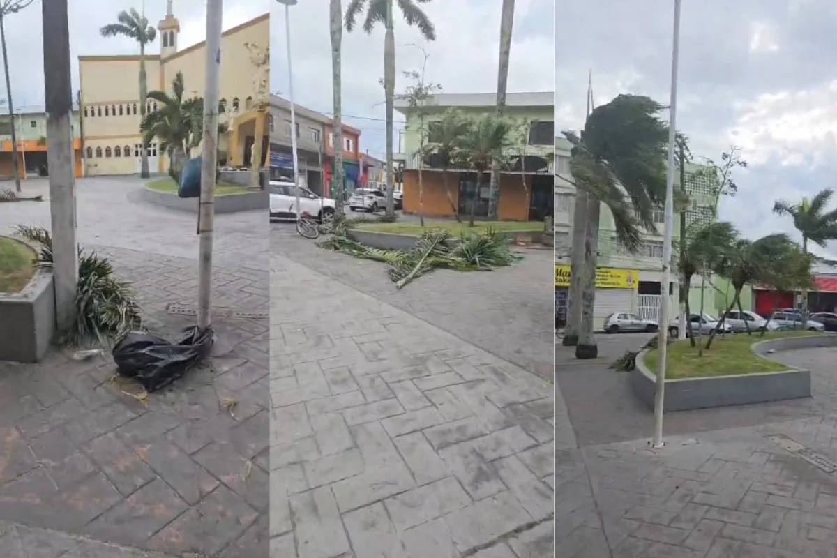 Sobe para 3 o número de mortos por ventania que causou estragos em SP - imagem 8 Sobe para 3 o número de mortos por ventania que causou estragos em SP - imagem 8