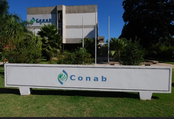 Armados com foices e facões, sem-terra invadem prédio da Conab na Asa Sul