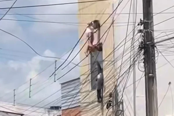 Imagem colorida de criança no fio em Alagoas