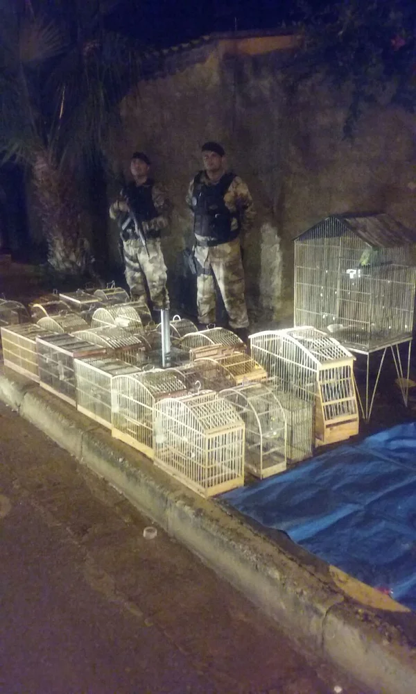 PM detém assaltantes após tentativa de roubo na UnB do Gama