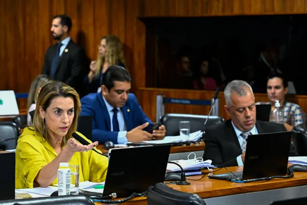 imagem colorida de soraya thronicke