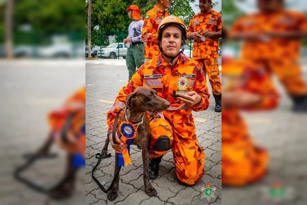 Imagem colorida da cadela Iara, dos bombeiros do MAranhão - Metrópoles