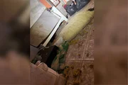 A casa estava em condições insalubres e desocupada A casa estava em condições insalubres e desocupada