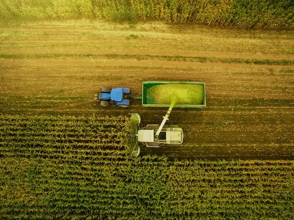 Maquina coletando produto de plantação pib - Metrópoles