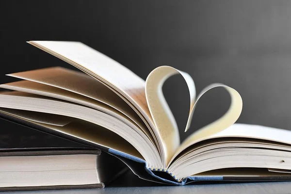 Professora do EstudoPlay comenta questões de literatura do Enem