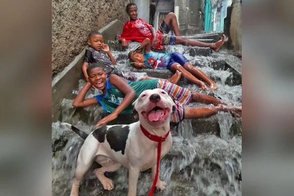 Foto de crianças com cadelinha na chuva no Rio viraliza