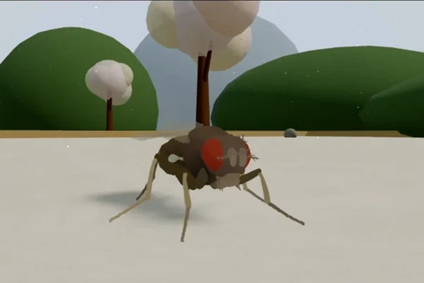 Cientistas criam réplica exata de mosca em simulação virtual