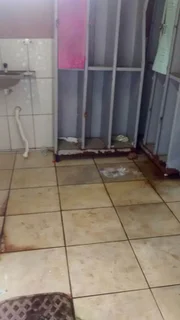 Vídeo mostra situação precária em banheiro de visitantes da Colmeia - imagem 3