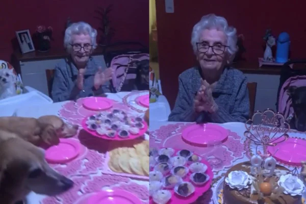 vovó celebra aniversário de 90 anos ao lado dos cachorros