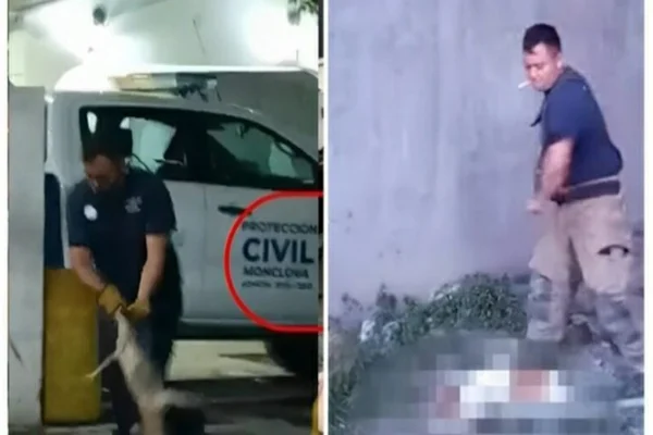 duas imagens lado a lado com homens ao lado de cachorros, que estão borrados
