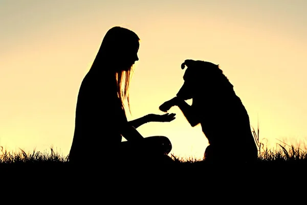 Alemanha: lei obrigará donos de pets a levá-los para passear 2 vezes ao dia