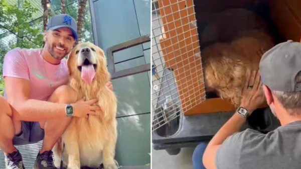 Montagem com fotos coloridas do tutor, João Fantazzini, e do cão Joca - Metrópoles