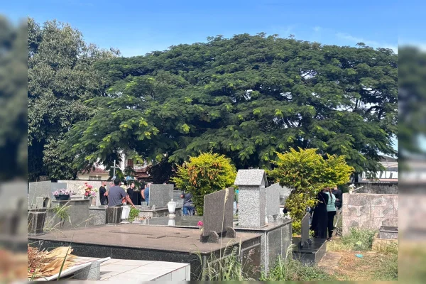 “Amiga para toda hora”: família se despede de mulher morta atropelada
