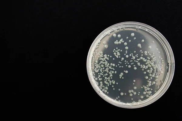 Cientistas criam células mínimas artificiais que podem se reproduzir