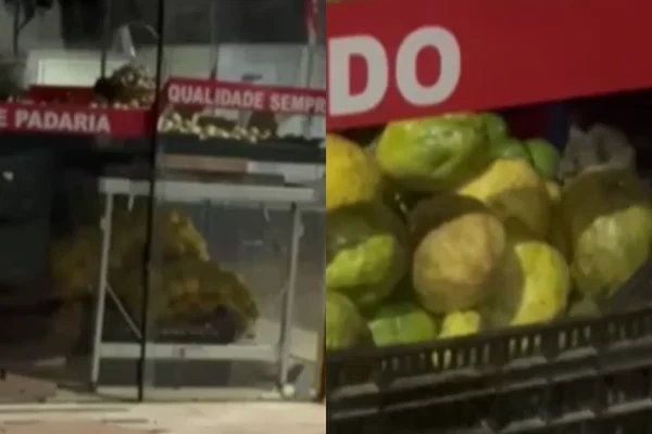 Imagem colorida da fachada de um mercado com diversos ratos passeando por alimentos - Metrópoles