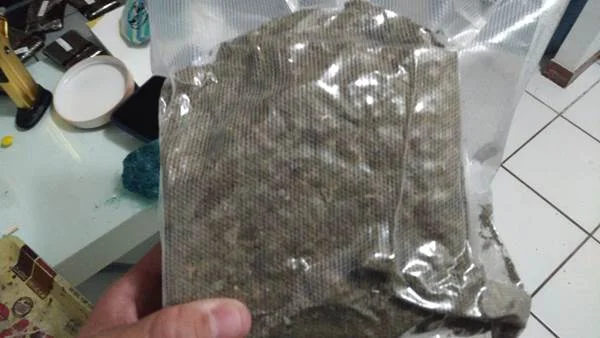 Traficante de droga gourmet é preso na Asa Norte pela PCDF
