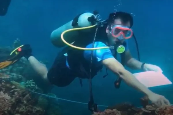 ONG pesquisa cardumes para a pesca do atum nas Filipinas