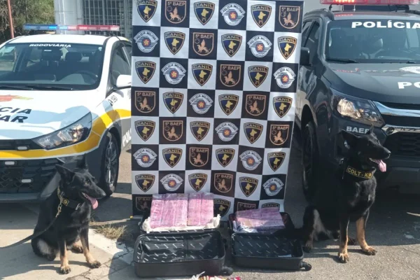 Imagem colorida mostra dois cães da Polícia Militar (PM) após apreensão de drogas e prisão de suspeitos em São Paulo - Metrópoles