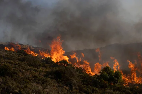 Foto colorida de incêndio florestal na Grécia - Metrópoles