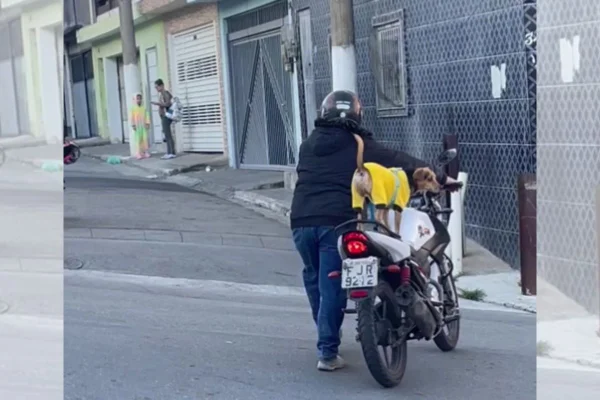 tutor passeando de moto com seu cachorro