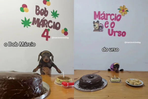 Foto colorida de um cachorro fantasiado - Metrópoles