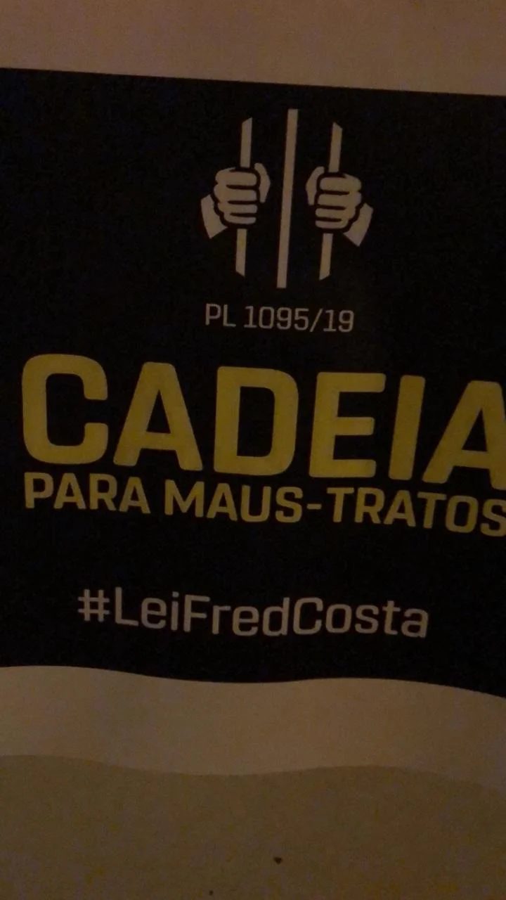 Cartazes pedem punição para quem pratica maus-tratos Cartazes pedem punição para quem pratica maus-tratos