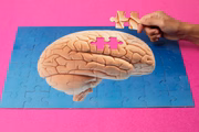 Lapsos de memória: se a pessoa começa a perceber que a memória está falhando no dia a dia com coisas muito simples é provável que esteja passando por um episódio de esgotamento mental
Lapsos de memória: se a pessoa começa a perceber que a memória está falhando no dia a dia com coisas muito simples é provável que esteja passando por um episódio de esgotamento mental