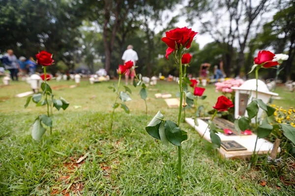 Dia de Finados: saiba como será o funcionamento dos cemitérios