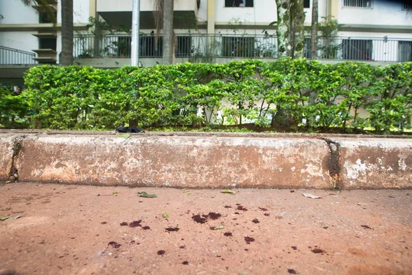 Manchas de sangue