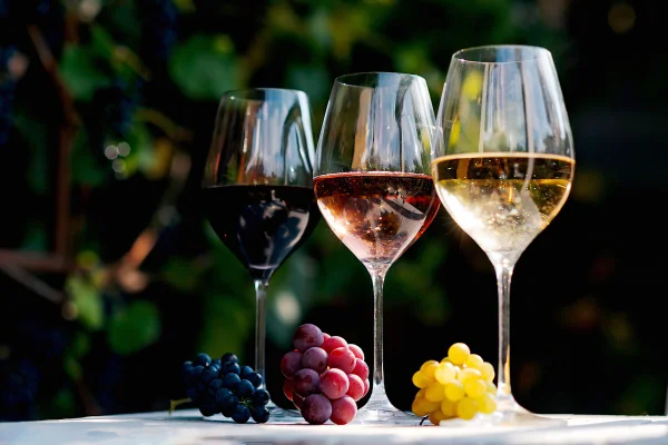 Foto colorida de taças de vinhos - Metrópoles