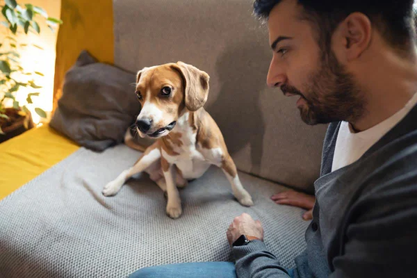 Foto colorida de um cachorro - Metrópoles