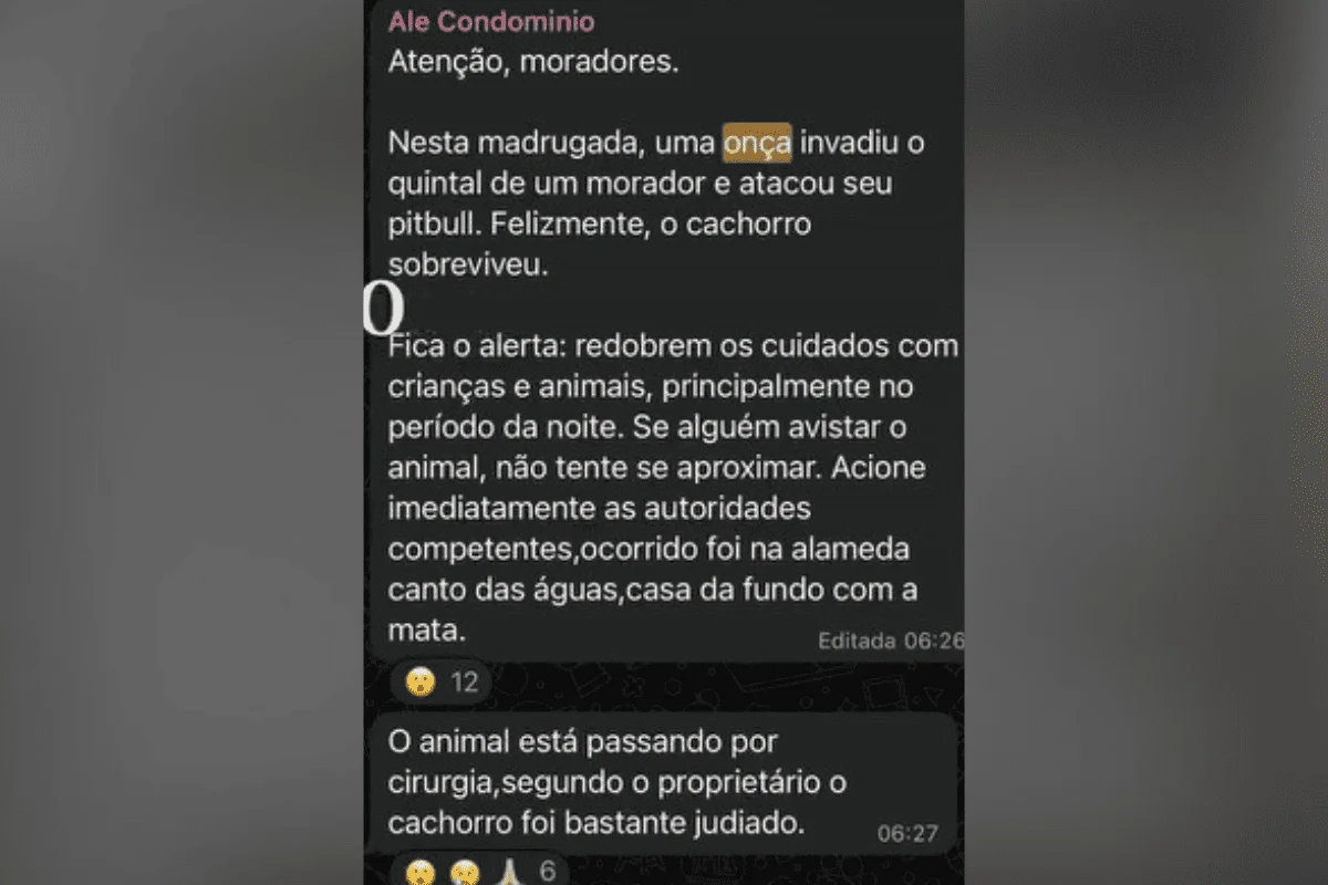 O animal sofreu ferimentos no rosto, levou 32 pontos na cabeça, perdeu parte da gengiva e teve parte das funções do lado esquerdo da face paralisados O animal sofreu ferimentos no rosto, levou 32 pontos na cabeça, perdeu parte da gengiva e teve parte das funções do lado esquerdo da face paralisados