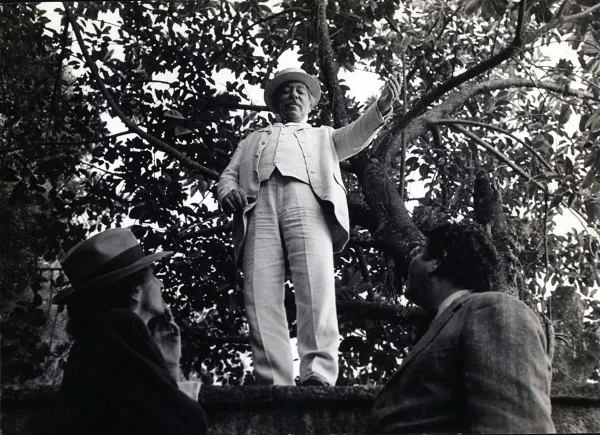 15º Festival de Brasília do Cinema Brasileiro (1982)