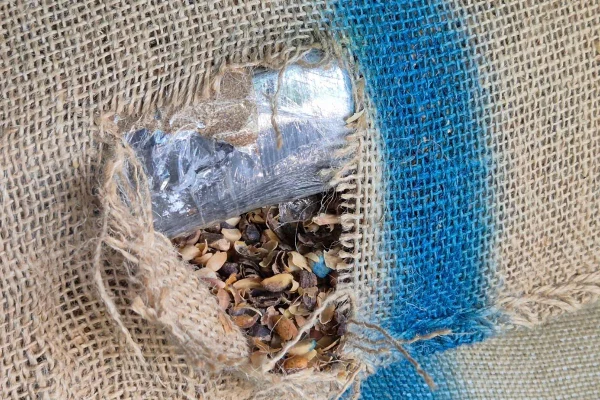 Tijolos de cocaína foram colocados dentro de sacas de café. Carregamento seria enviado ao porto de Barcelona, na Espanha.