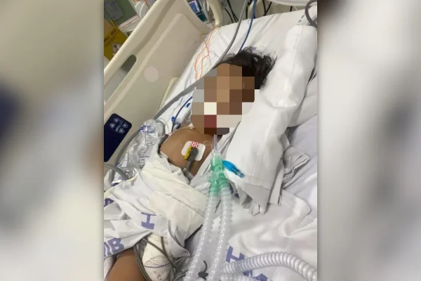 Criança de 1 ano picada por escorpião no DF está internada em UTI