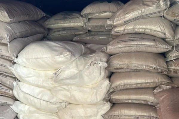 Imagem colorida de sacos de cocaína no meio de carregamento de açúcar. Droga foi encontrada pela polícia - Metrópoles
