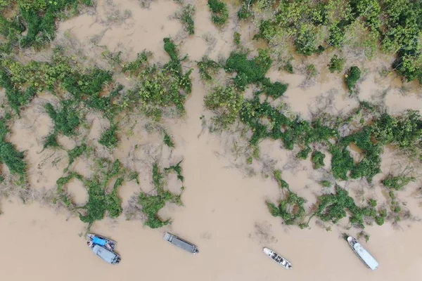 Região do Vale do Javari, onde o indigenista e o jornalista desapareceram
