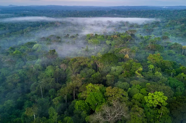 PSol e Apib acionam Supremo para derrubar Licenciamento Ambiental