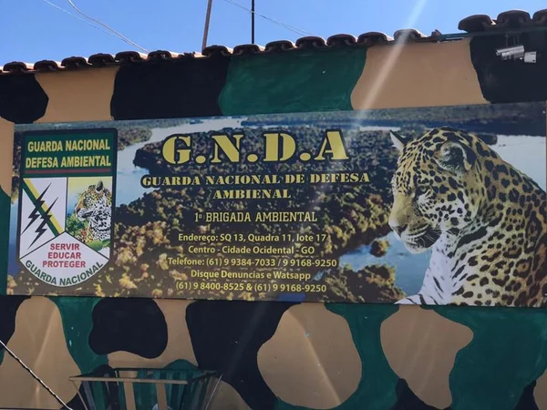 PCGO prende homem que se passava por guarda ambiental no Entorno do DF