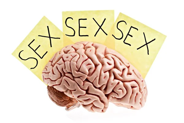 Vício em sexo: transar em excesso é um problema de sexualidade