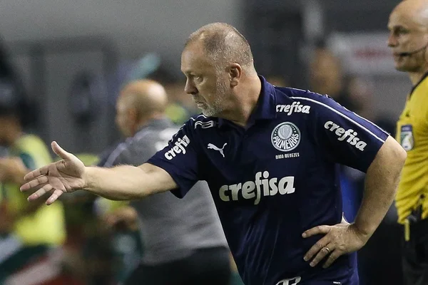 Palmeiras fecha último treino e Mano Menezes mantém o mistério