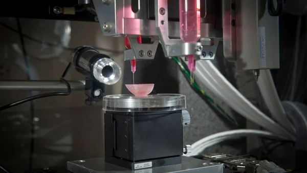 imagem colorida de impressora 3D de órgãos - Metrópoles