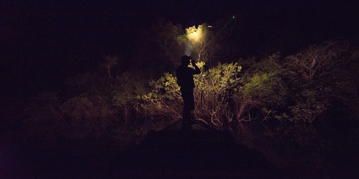 Turismo de natureza também inclui experiências em meio à floresta durante a noite Turismo de natureza também inclui experiências em meio à floresta durante a noite
