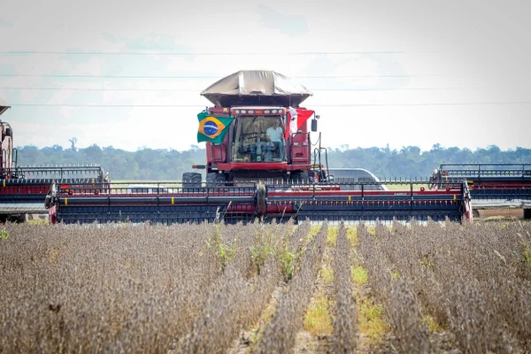 Pará lidera produção de soja e se firma como potência agropecuária