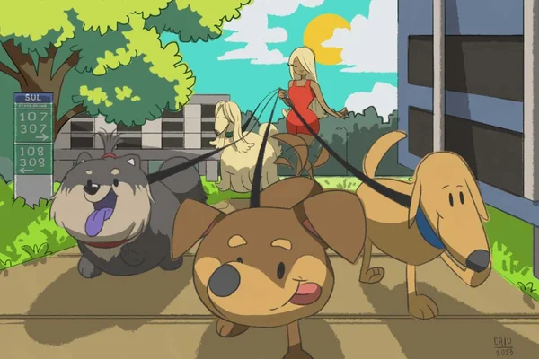 Cachorros passeando nas ruas de Brasília