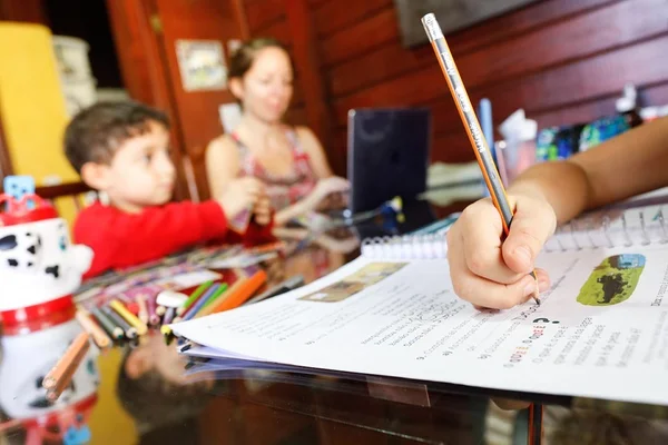 Escolas públicas do DF: aulas pela web começam na quarta (22/04)