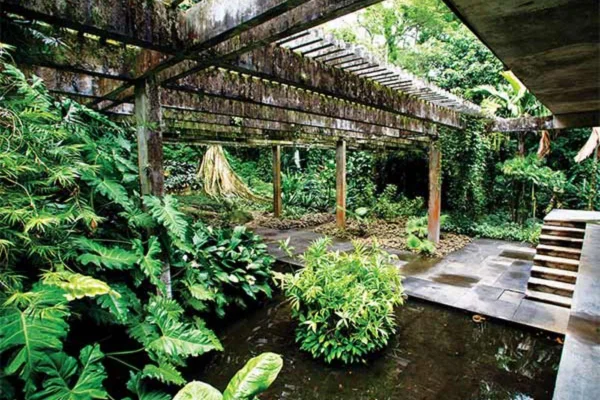 Uma conversa entre Burle Marx, Clarice Lispector, Deus e a tristeza