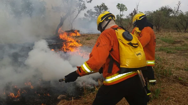 Incêndio atinge área próxima ao Noroeste e ao Parque Nacional de Brasília