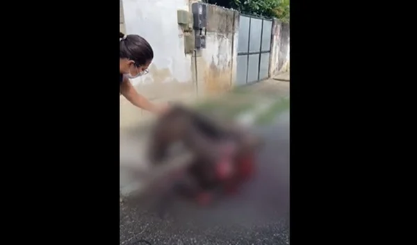 Cavalo é arrastado por caminhão e fica todo machucado em Duque de Caxias (RJ)