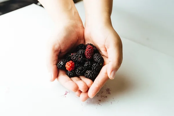 Aplicativo une quem quer doar alimento orgânico a quem quer recebê-lo